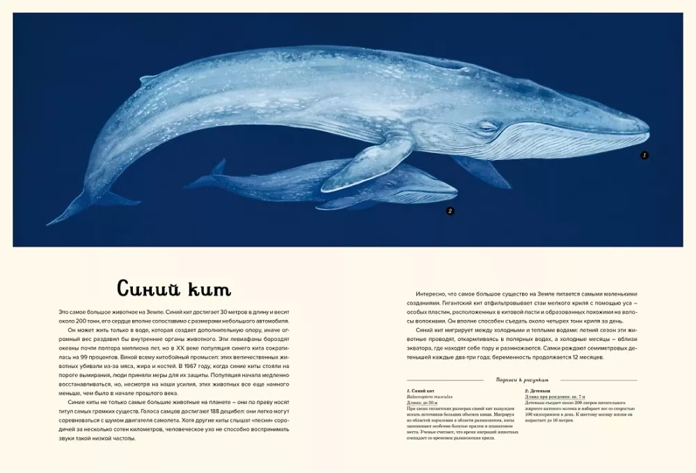 Ozeanarium