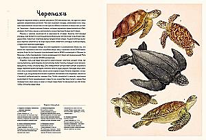 Ozeanarium