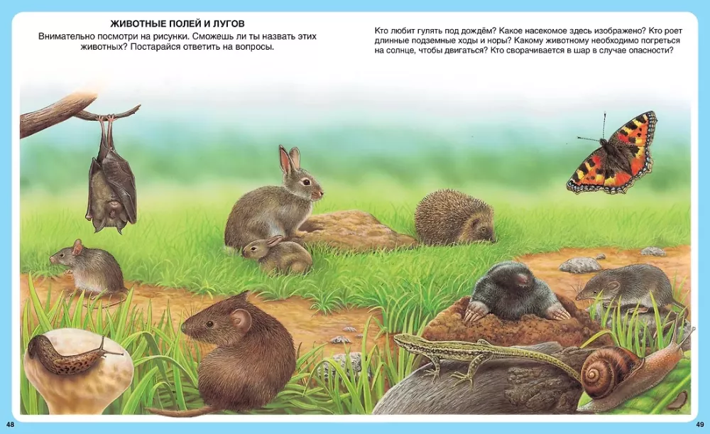 Your First Encyclopedia. Animals — photo 6