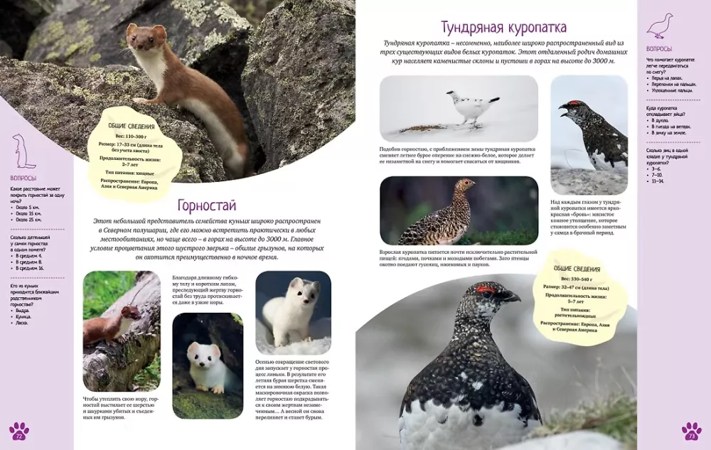 Красочный мир животных — фото 5