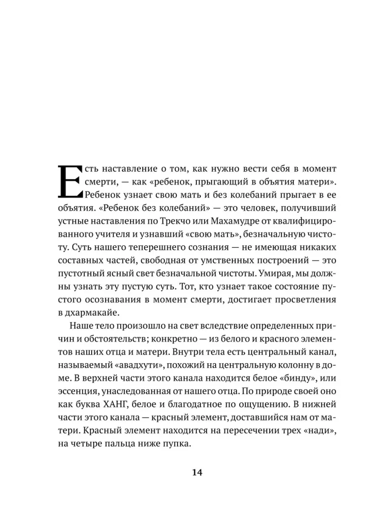 Бардо. Путеводитель по жизни и смерти. Перевод Бориса Гребенщикова — фото 12