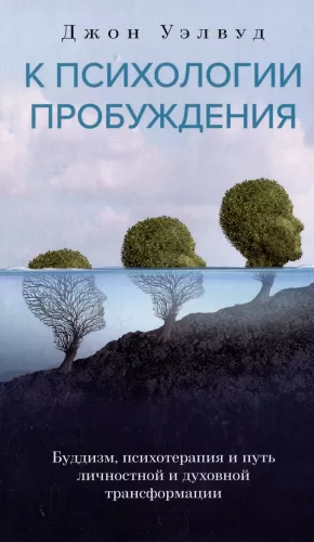 Zur Psychologie des Erwachens. Buddhismus, Psychotherapie und der Weg der persönlichen und spirituellen Transformation