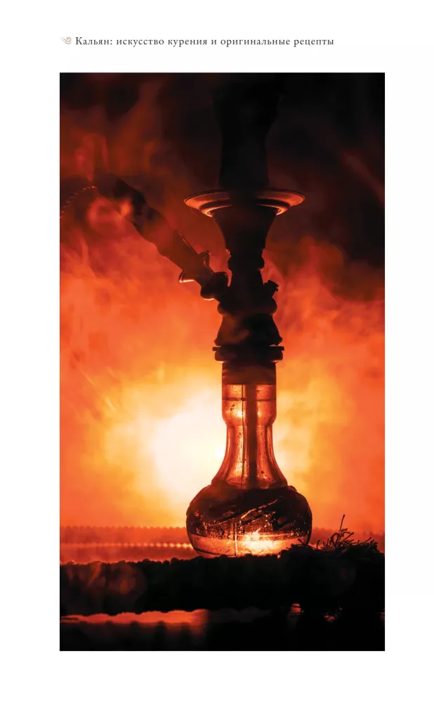 Hookah: The Art of Smoking and Original Recipes