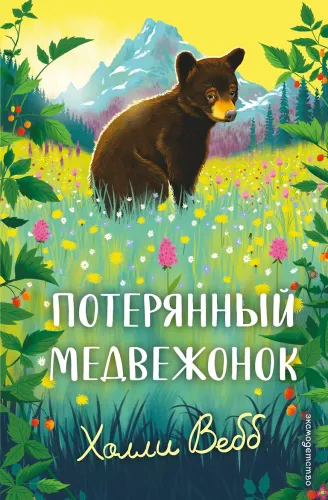 The Lost Bear Cub