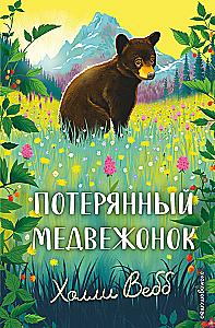 The Lost Bear Cub