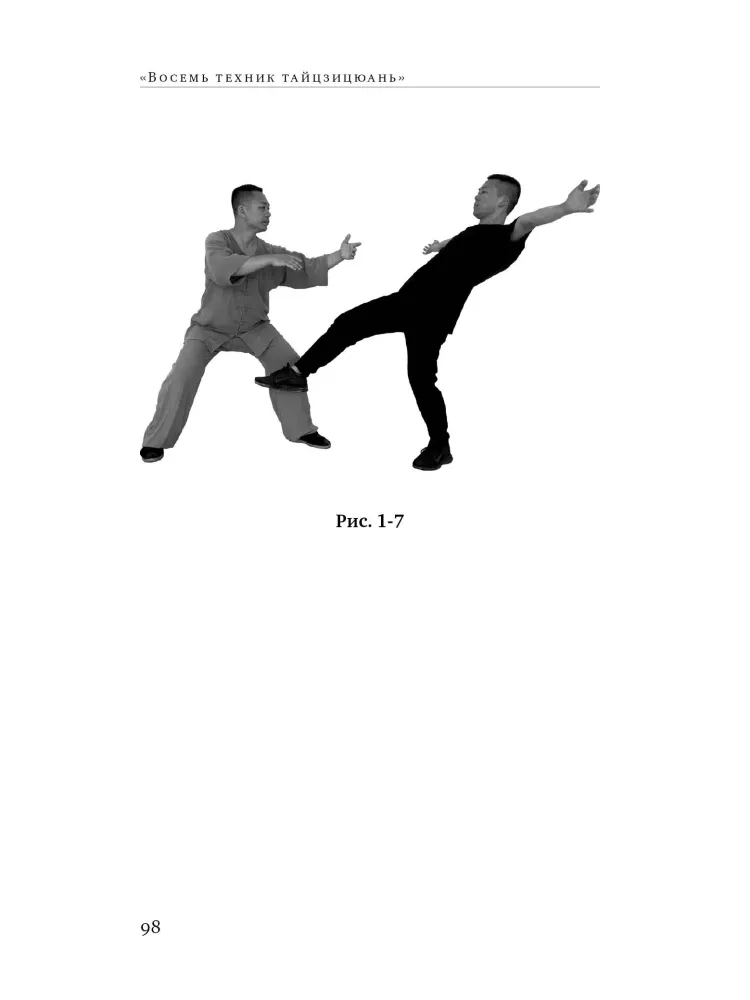 Acht Techniken des Tai Chi Chuan. Analyse und Kampfanwendung — Foto 9