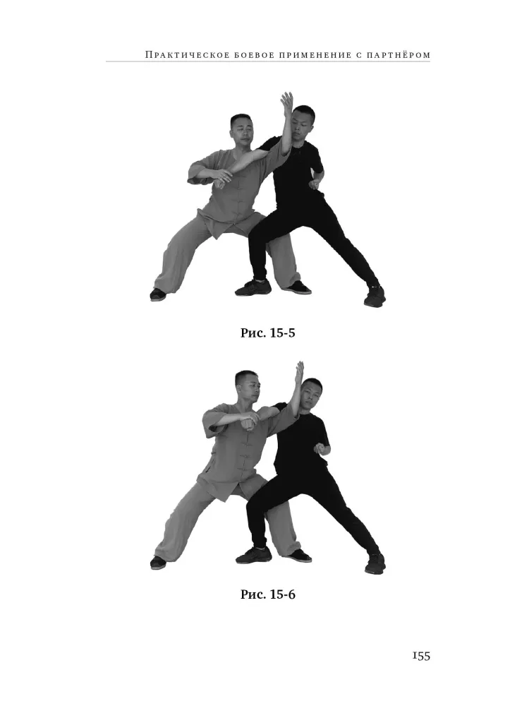 Acht Techniken des Tai Chi Chuan. Analyse und Kampfanwendung — Foto 11