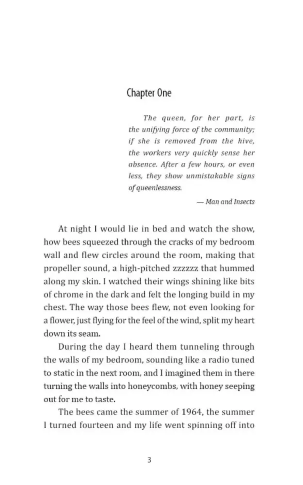 The secret life of bees — nuotrauka 2