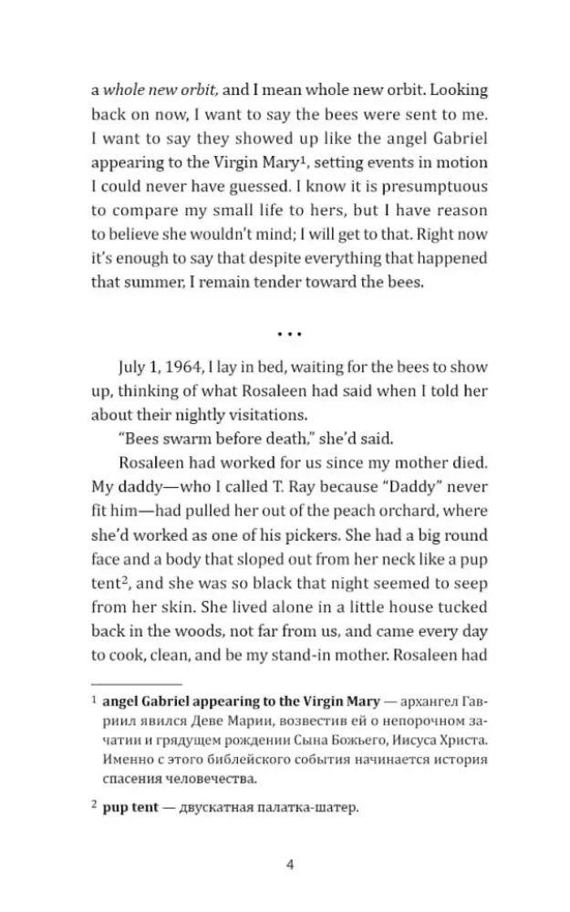 The secret life of bees — nuotrauka 3
