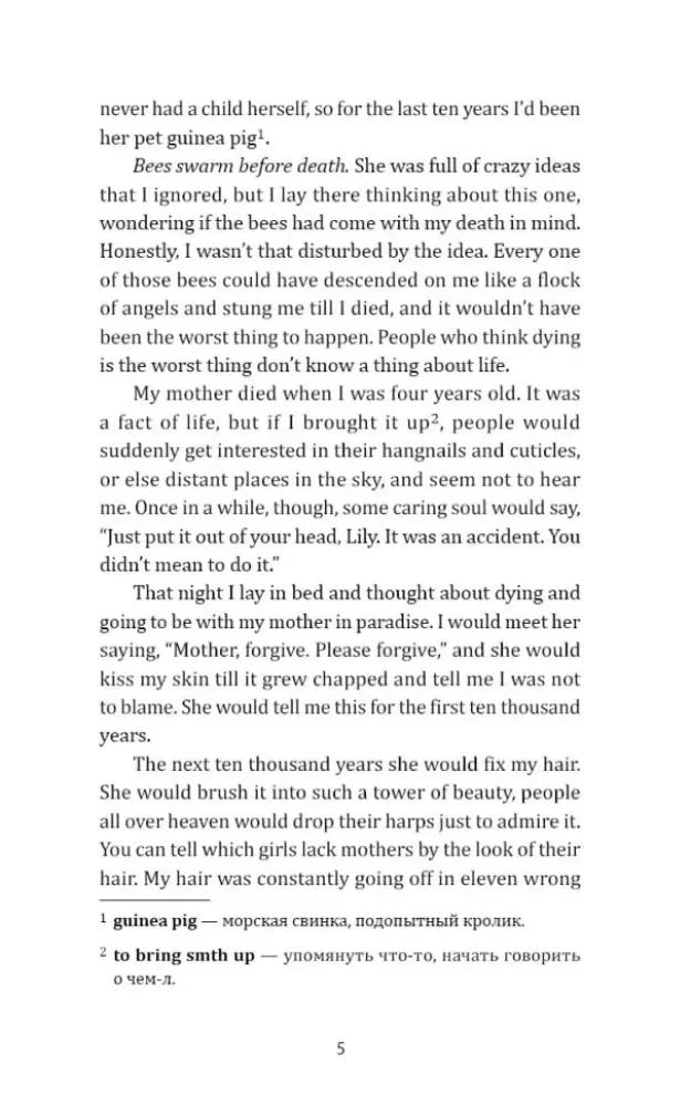The secret life of bees — nuotrauka 4