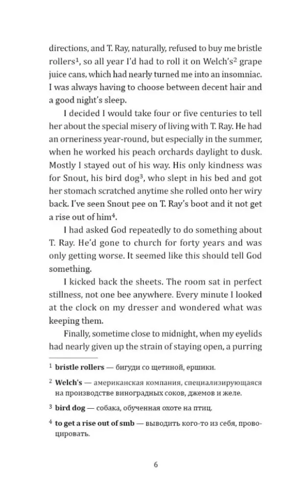 The secret life of bees — nuotrauka 5