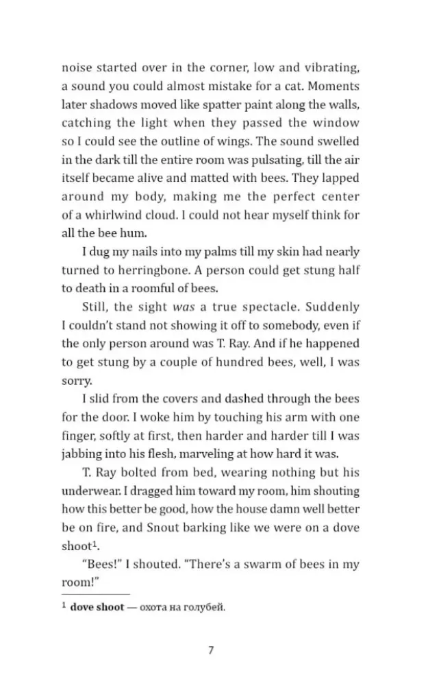 The secret life of bees — nuotrauka 6