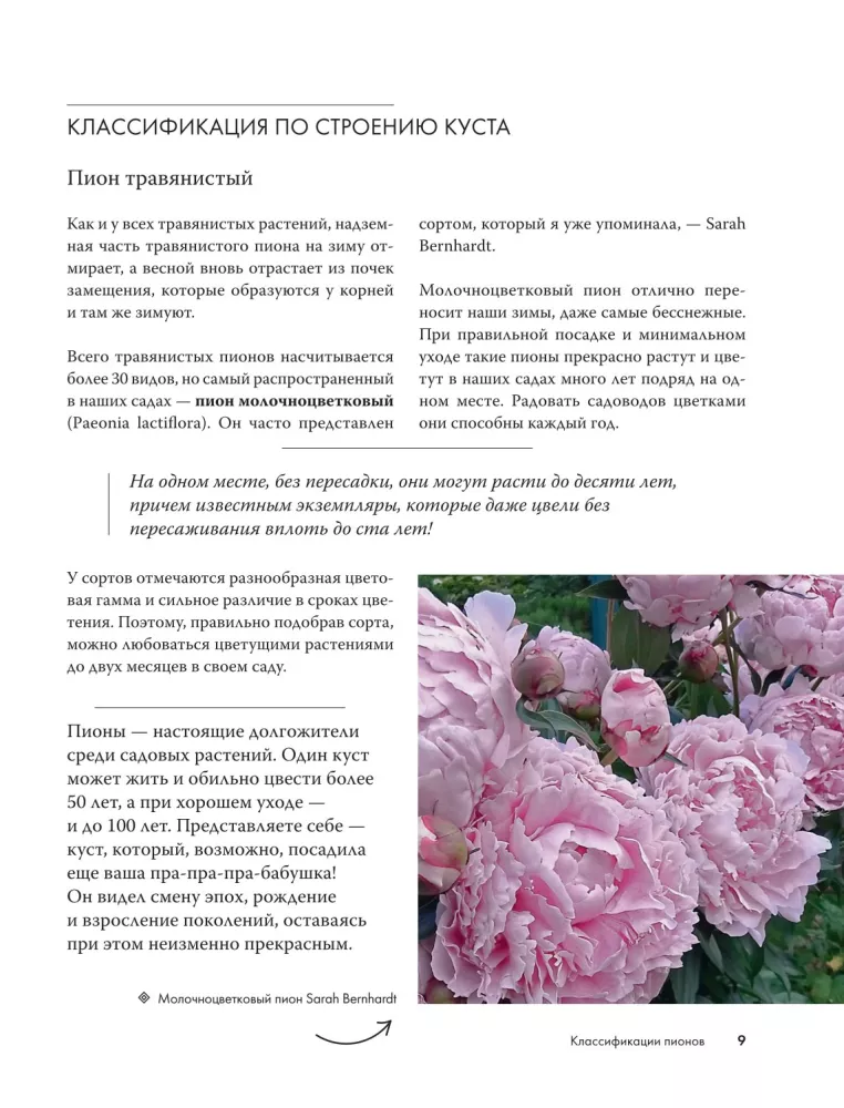 Piwonie. Uprawiamy, pielęgnujemy i cieszymy się nimi w każdym ogrodzie — zdjęcie 10