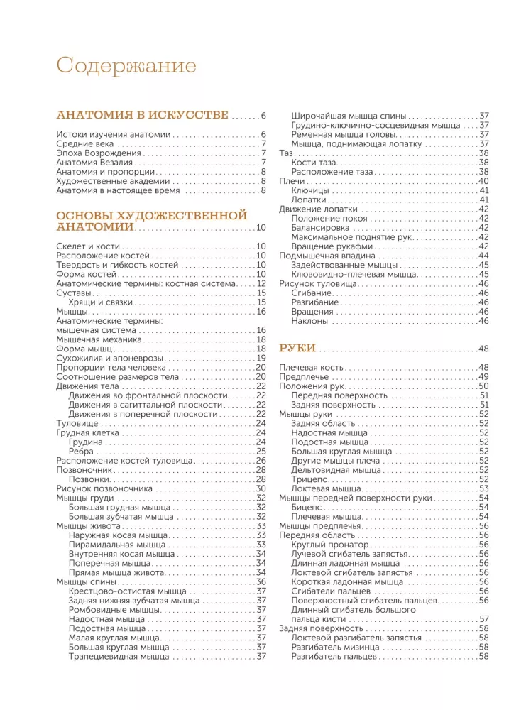 Anatomy for Artists — photo 4