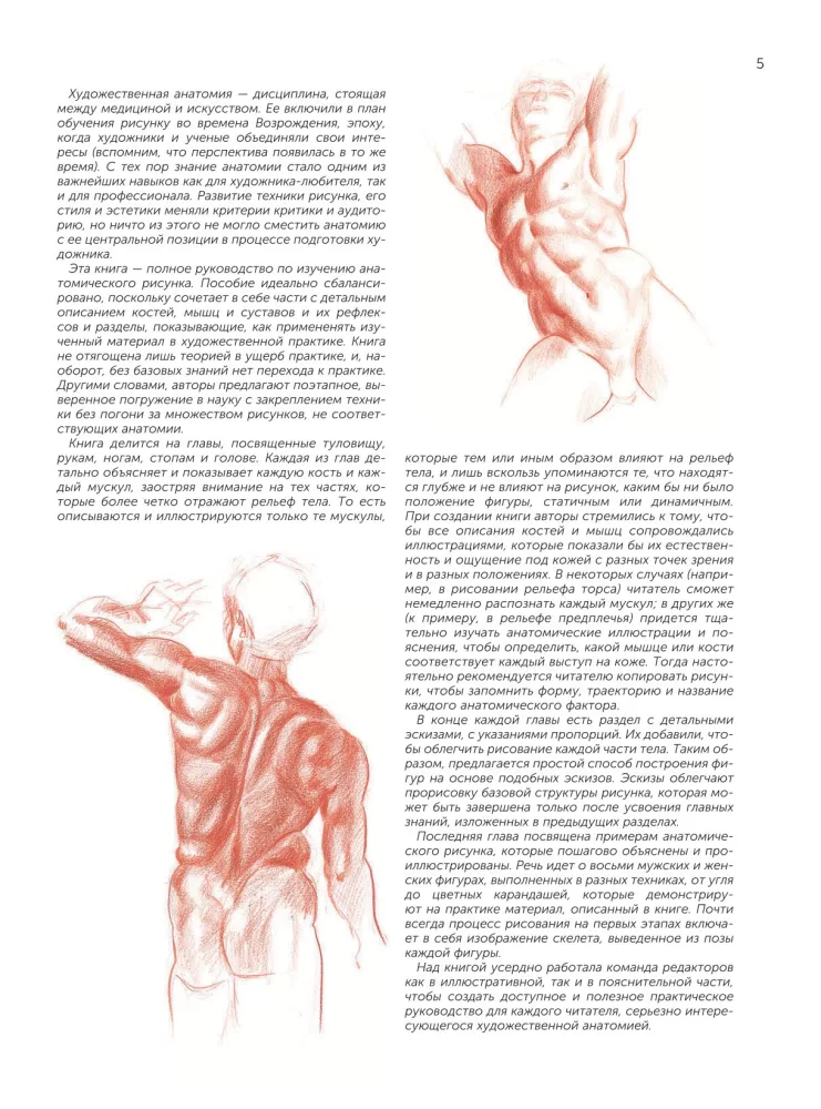 Anatomy for Artists — photo 7