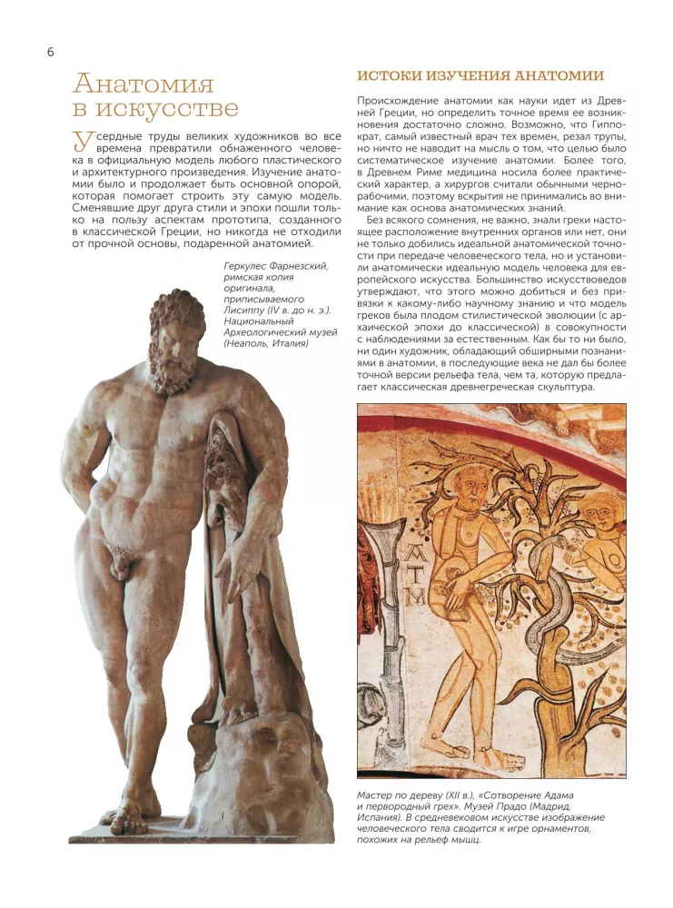 Anatomy for Artists — photo 8