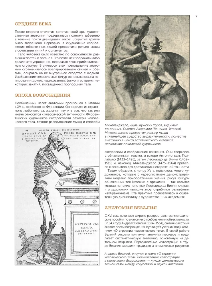 Anatomy for Artists — photo 9