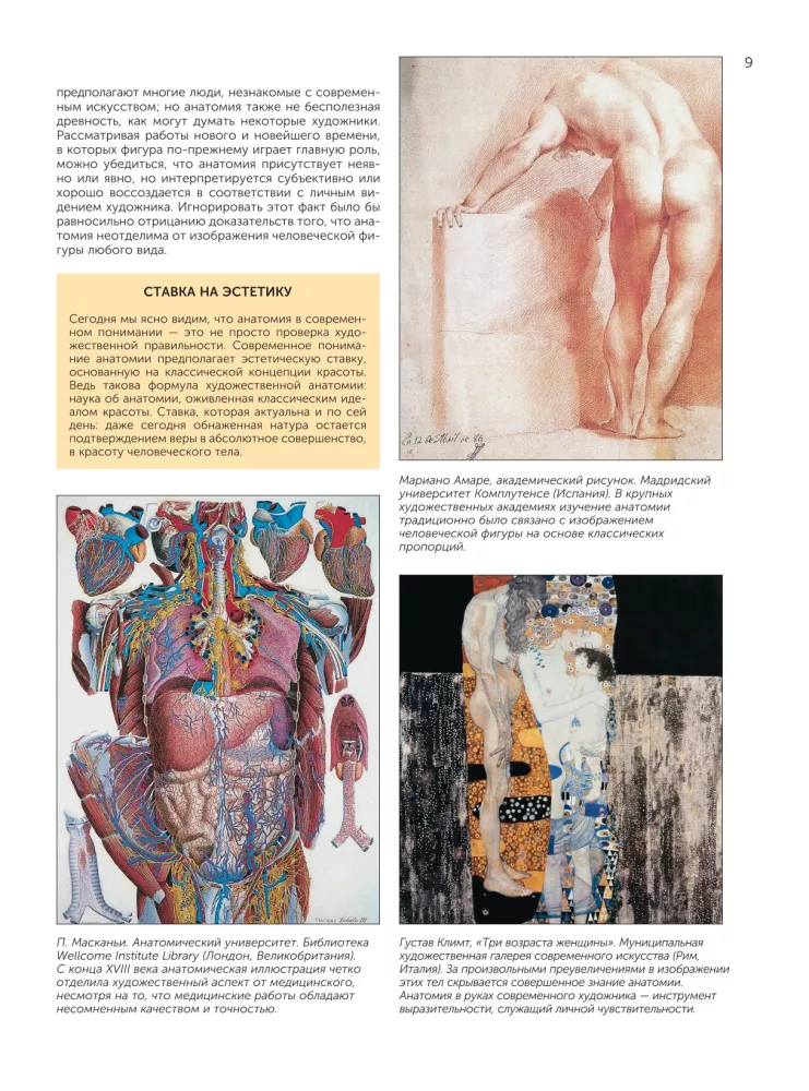 Anatomy for Artists — photo 11