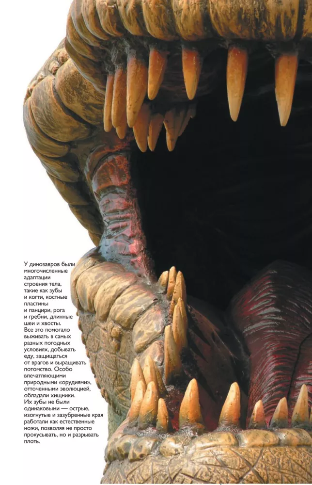 Dinosaurs — photo 8