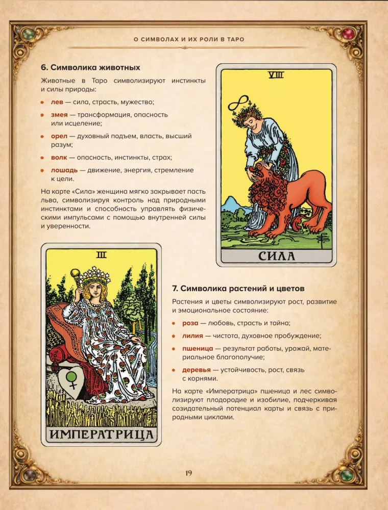 Vaito tarot. Išsamus kortų aiškinimas ir gili prasmė — nuotrauka 19