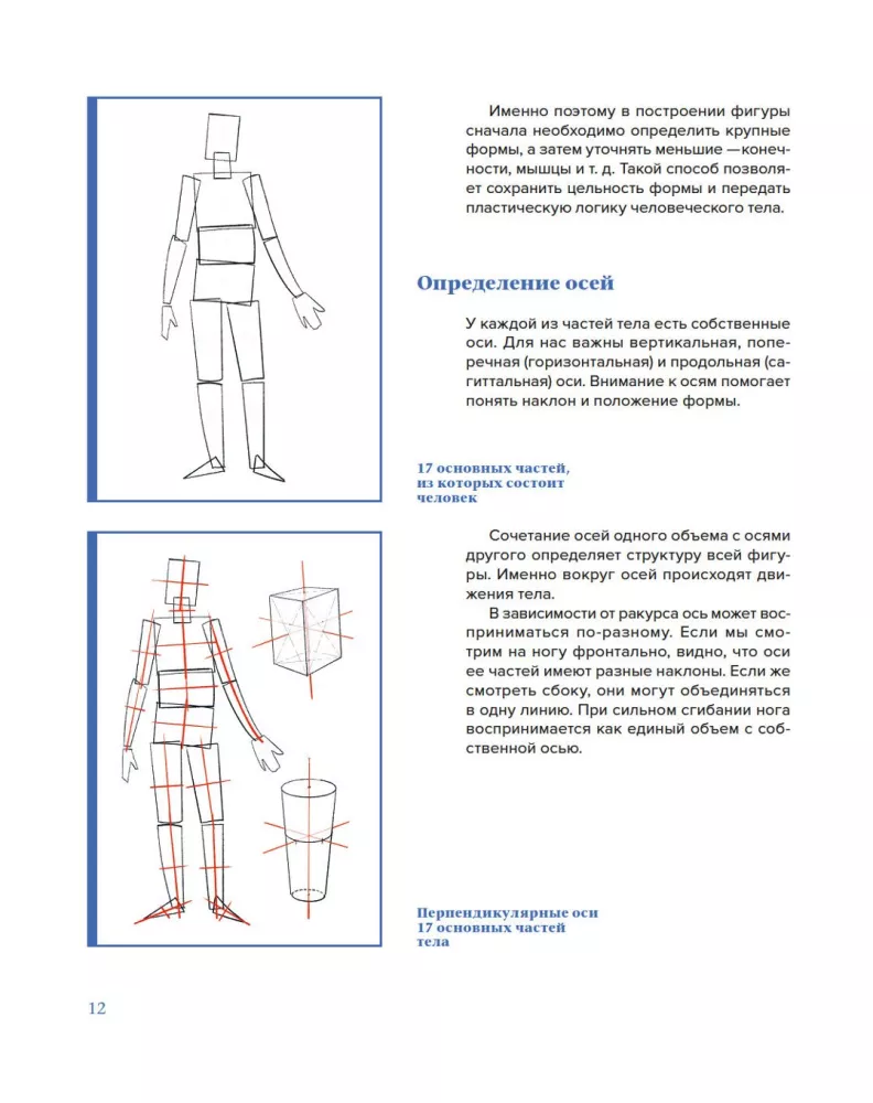 Plastic Anatomy. Practical Course — photo 8