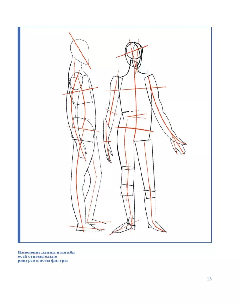 Plastic Anatomy. Practical Course — photo 9
