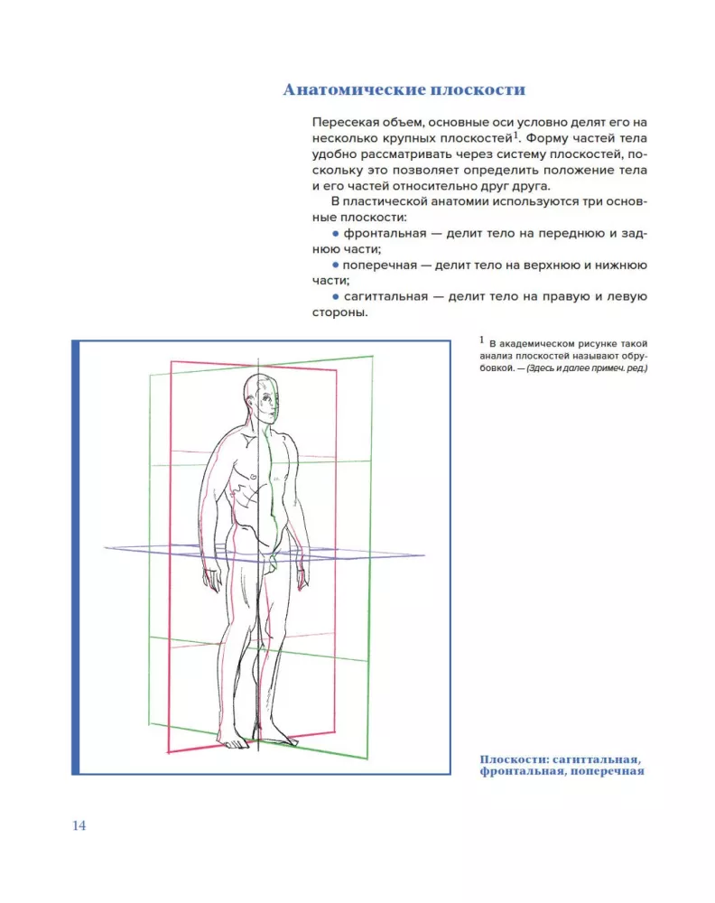 Plastic Anatomy. Practical Course — photo 10