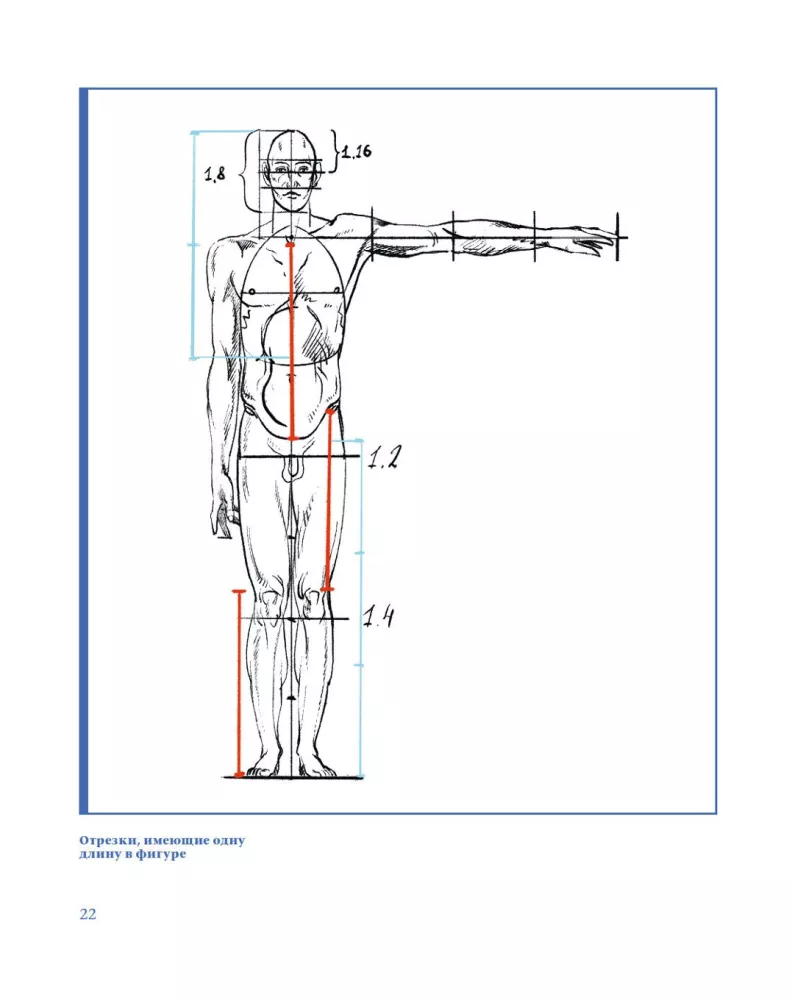 Plastic Anatomy. Practical Course — photo 18