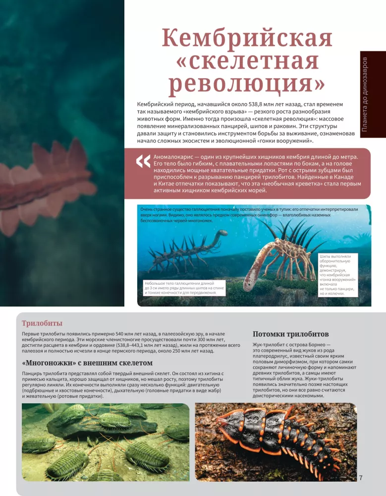Dinosaurs. Illustrated Atlas — photo 10