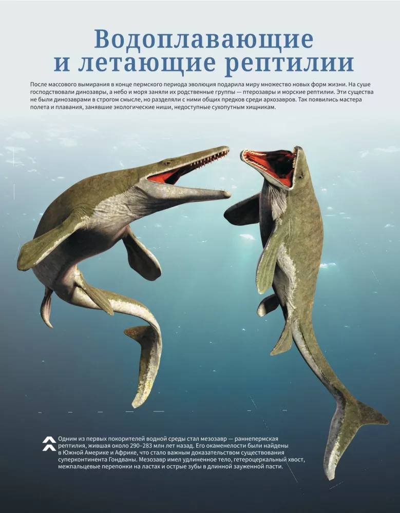 Dinosaurs. Illustrated Atlas — photo 17
