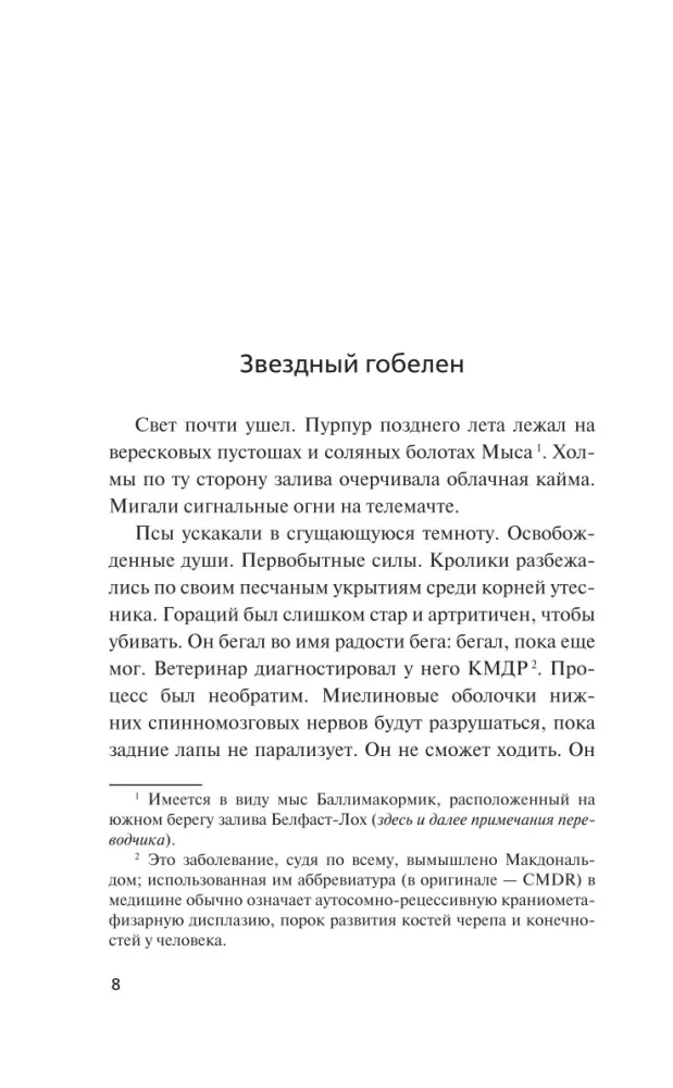 Chaga — Foto 5