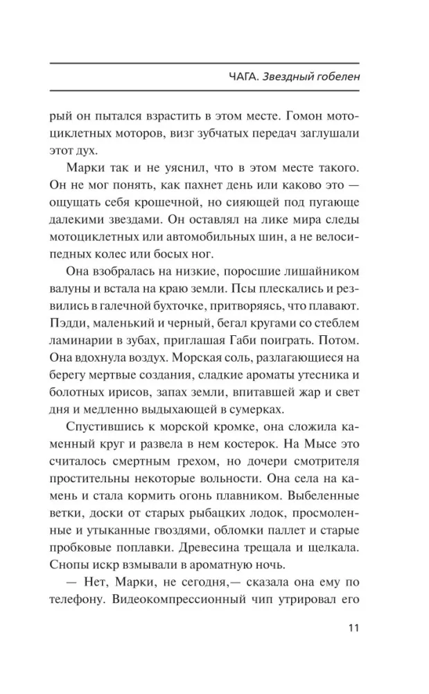 Chaga — Foto 8