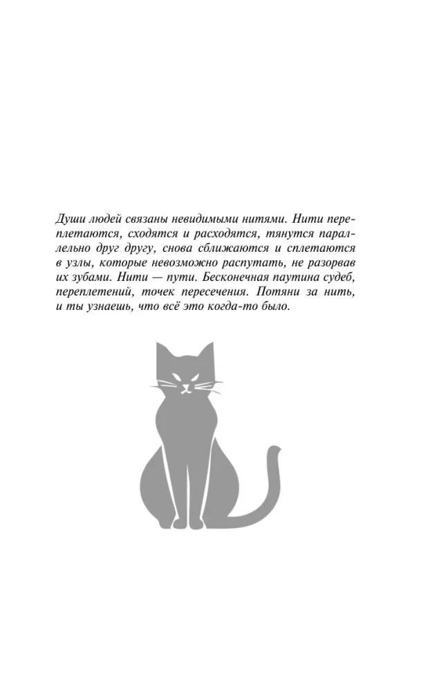 The Old New Cat — photo 4