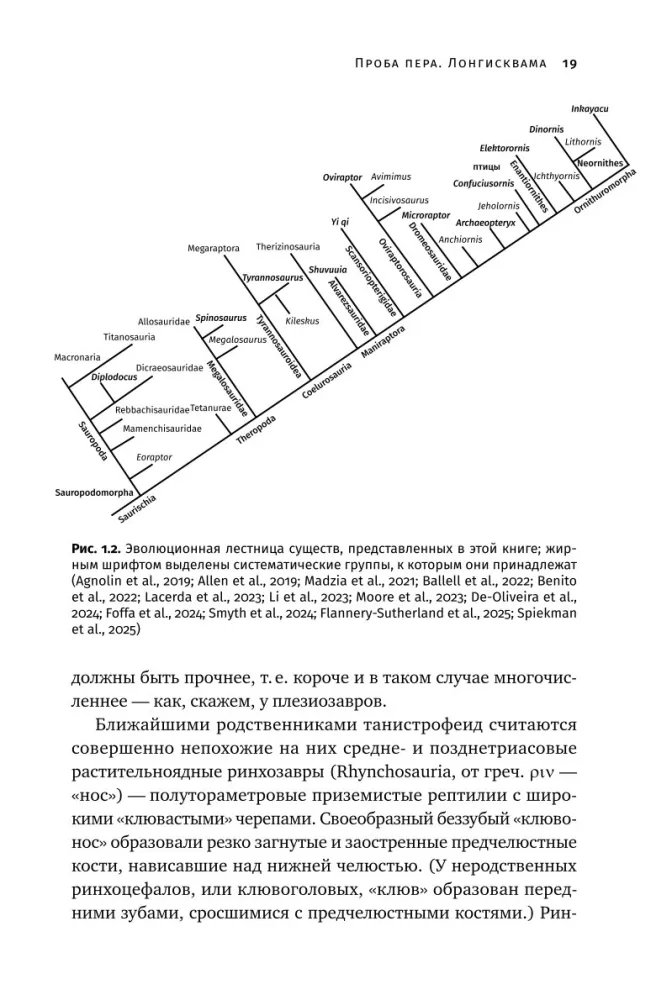 How Dinosaurs Took Flight: Quadcopters, Reverse Birds, and Their Descendants — photo 14
