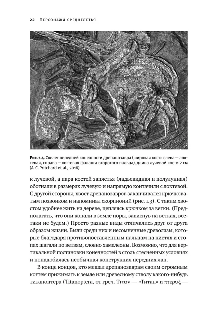 How Dinosaurs Took Flight: Quadcopters, Reverse Birds, and Their Descendants — photo 17
