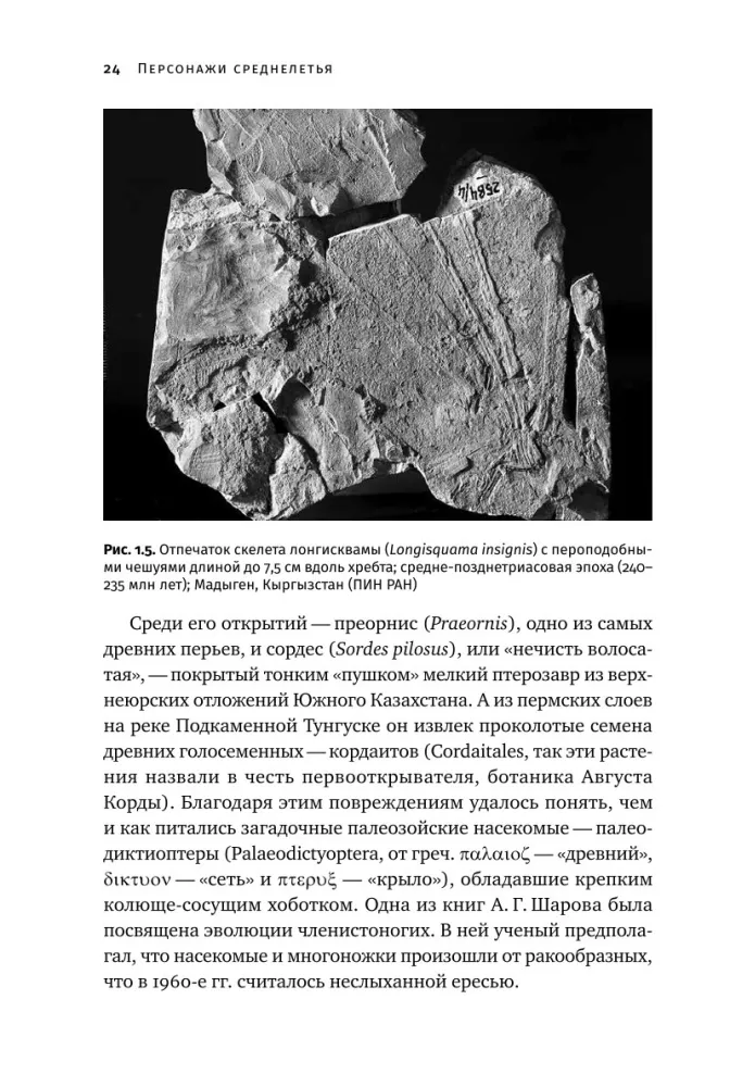 How Dinosaurs Took Flight: Quadcopters, Reverse Birds, and Their Descendants — photo 19