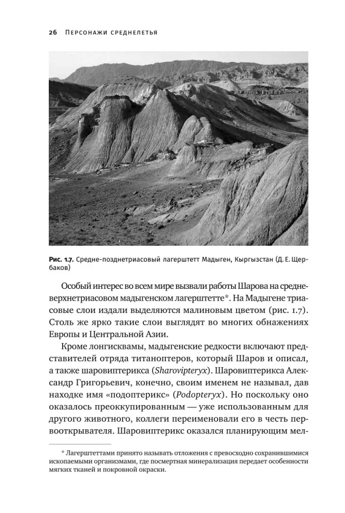 How Dinosaurs Took Flight: Quadcopters, Reverse Birds, and Their Descendants — photo 21
