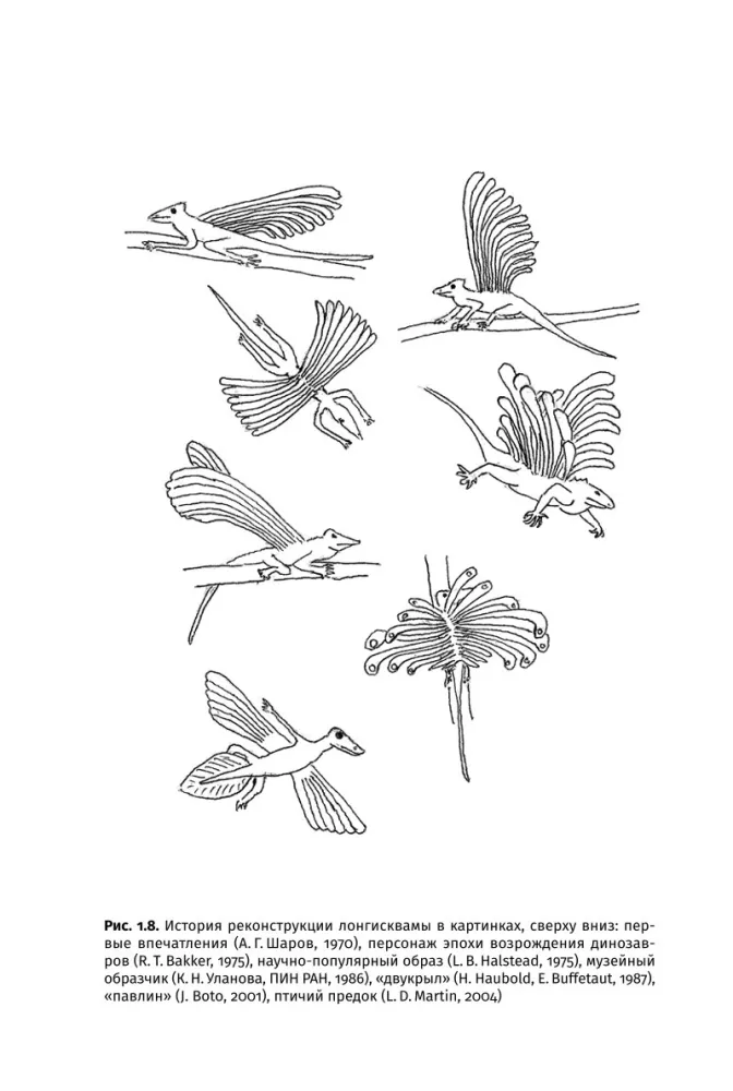 How Dinosaurs Took Flight: Quadcopters, Reverse Birds, and Their Descendants — photo 23