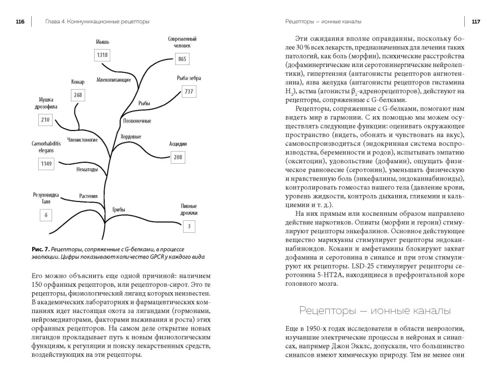 Die Kommunikation aller Lebewesen — Foto 2