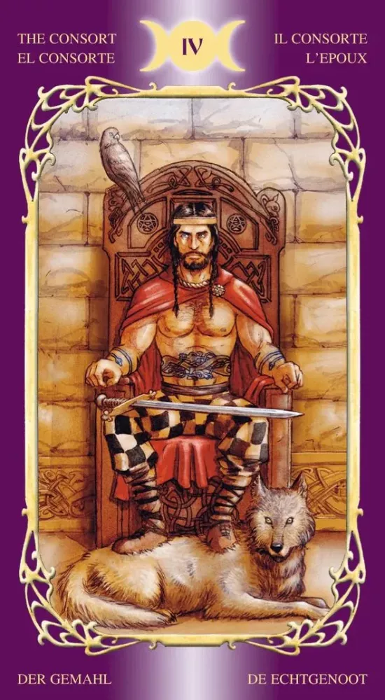 Tarot of the Mysterious World (78 cards + instructions) — photo 5