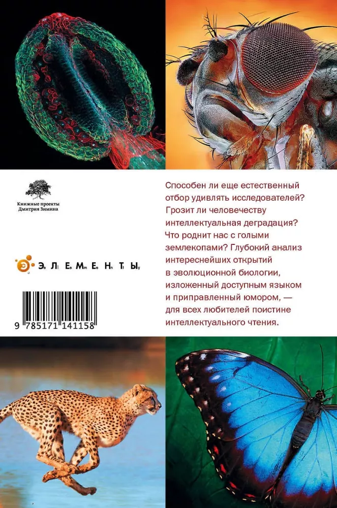 Atrankos perspektyvos — nuotrauka 2