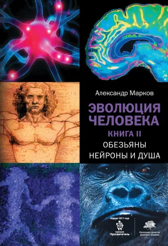 Žmogaus evoliucija. Knyga 2. Beždžionės, neuronai ir siela