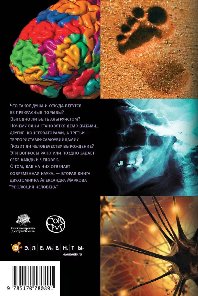 Cilvēka evolūcija. Grāmata 2. Pērtiķi, neironi un dvēsele — foto 2