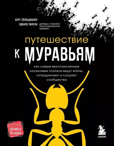 Journey to the Ants