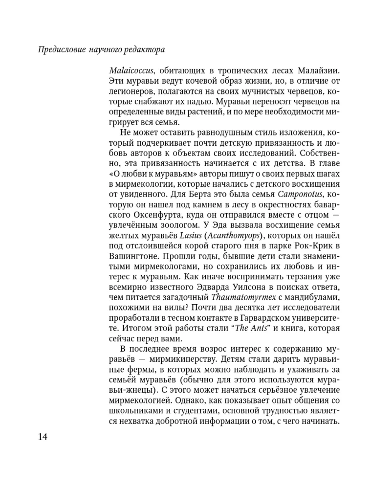 Reis sipelgate juurde — foto 10