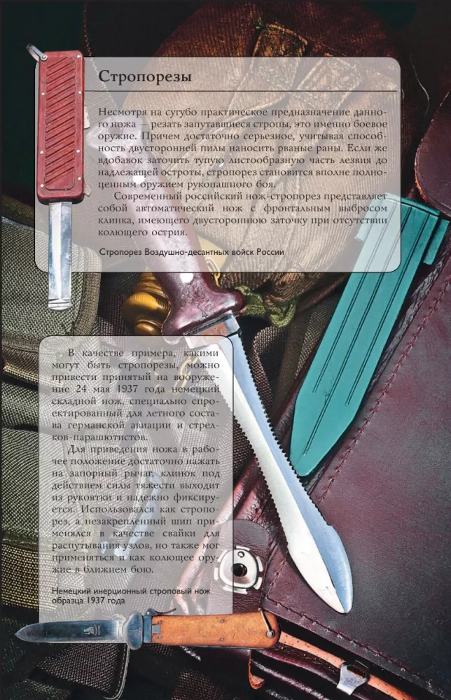 Pasaules naži. Populārs ilustrēts ceļvedis — foto 15