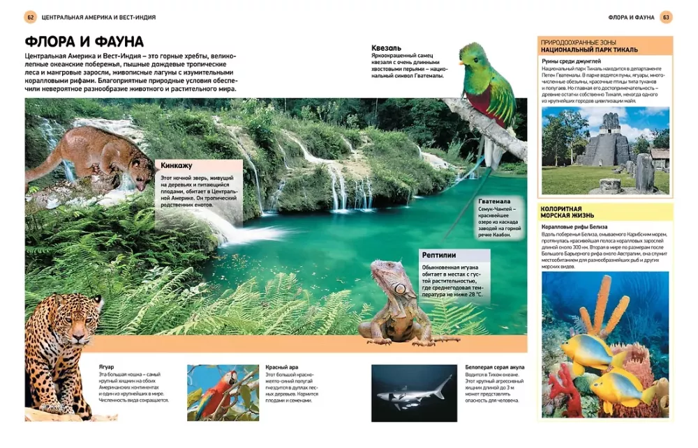 Atlas świata dla uczniów — zdjęcie 2