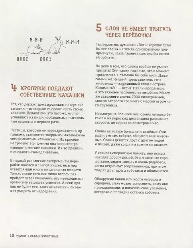Ar žirafa gali apsilaižyti ausis? Ir dar 319 klausimų apie pasaulį aplink — nuotrauka 5