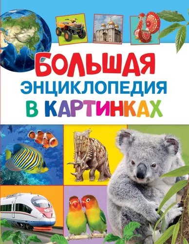 The Big Picture Encyclopedia