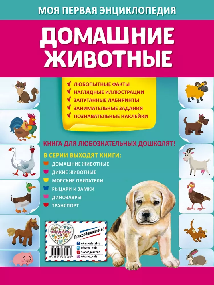Домашние животные — фото 2